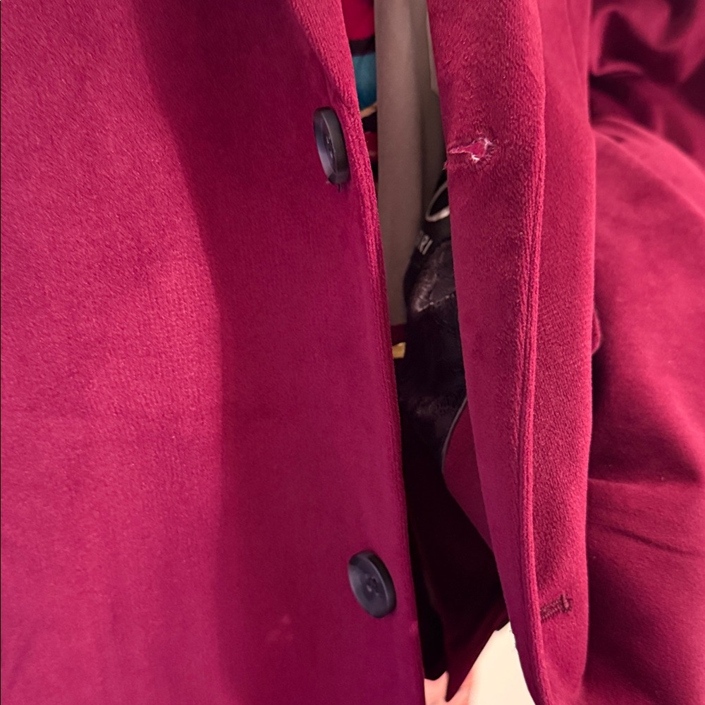 Bassiri Velevt Sport Coat - Picture 7 of 17